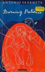 SkaÌrmeta, Burning patience.